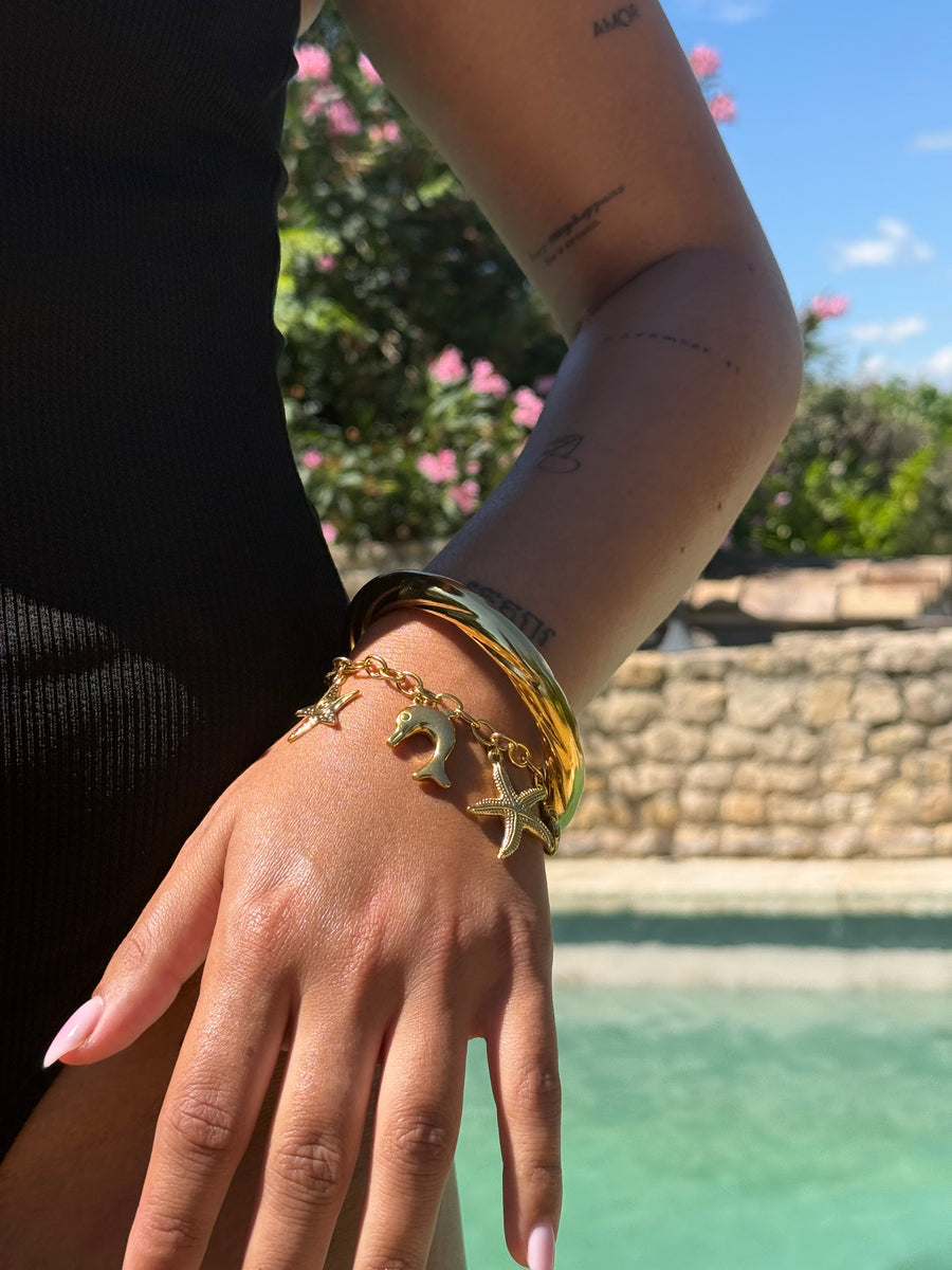 Bracelet jonc "Tanzanie"