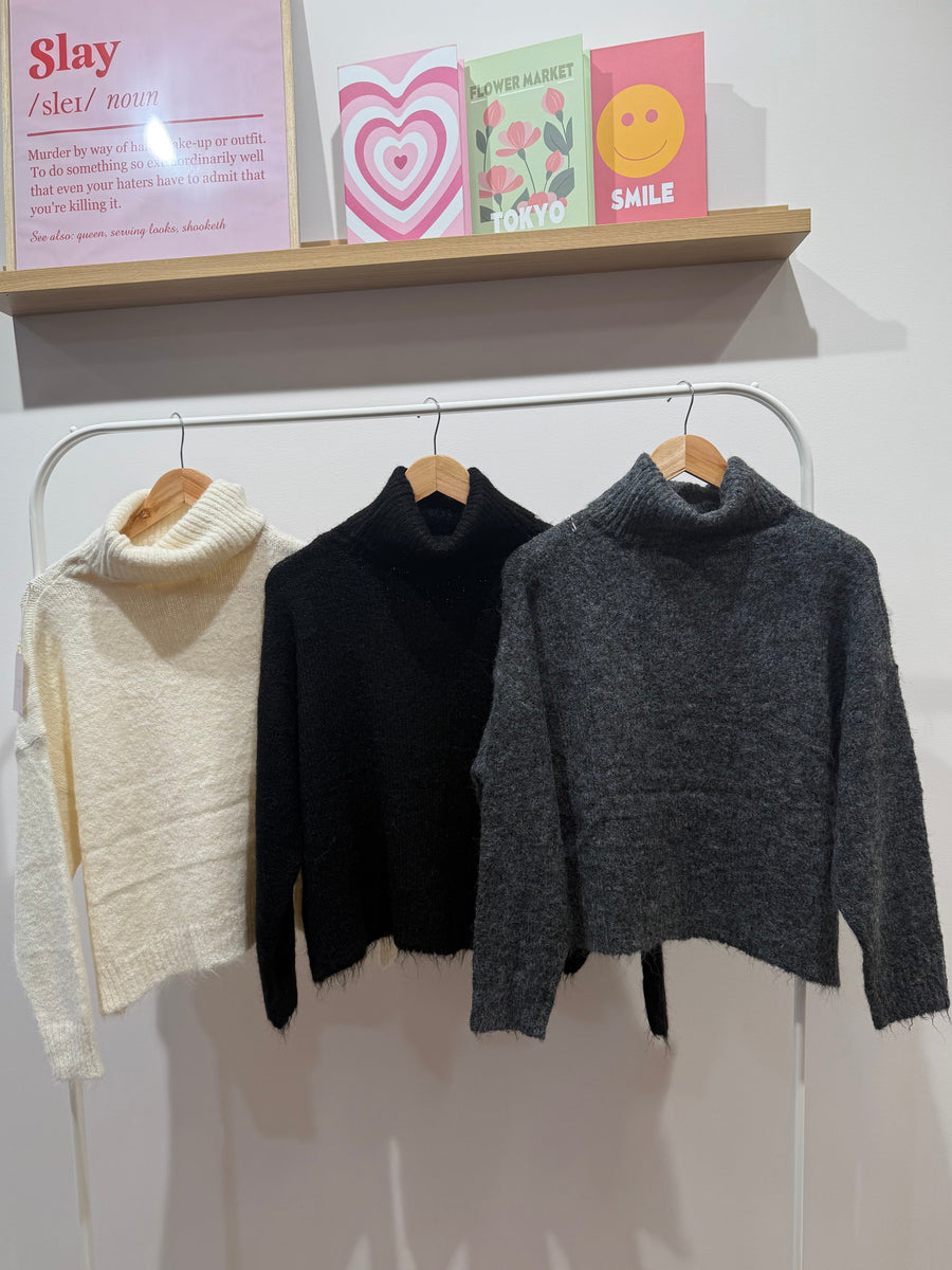 Pull col roulé "Bella"